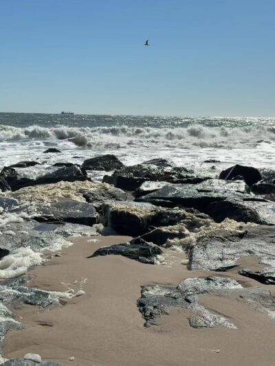 Gordons Pond Beach - Lewes, DE