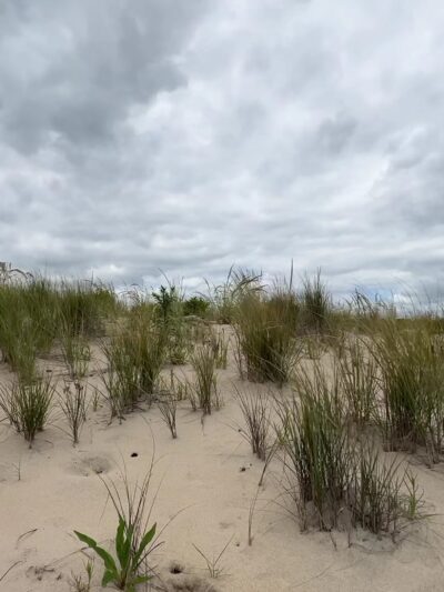 Gordons Pond Beach - Lewes, DE