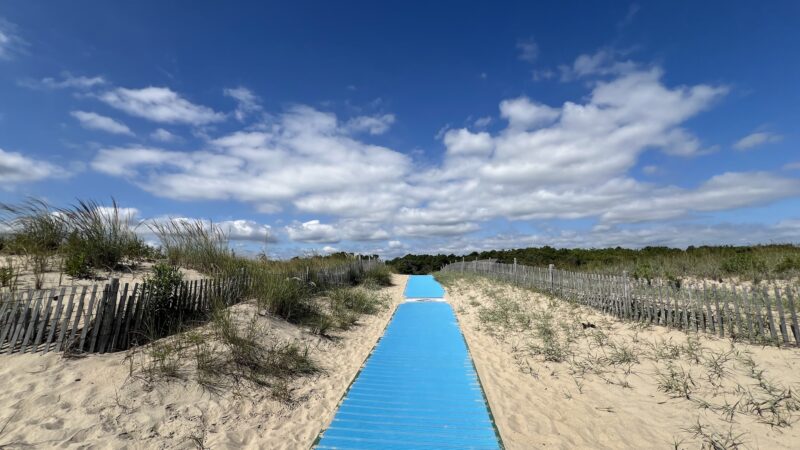 Gordons Pond Beach - Lewes, DE