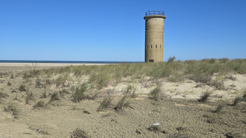Gordons Pond Beach - Lewes, DE