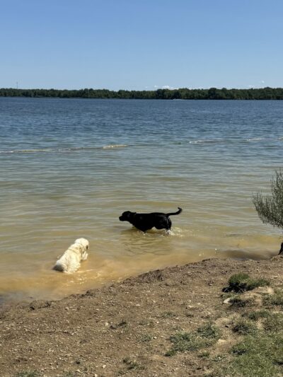 Friends of Alum Creek Dog Park - Lewis Center, OH