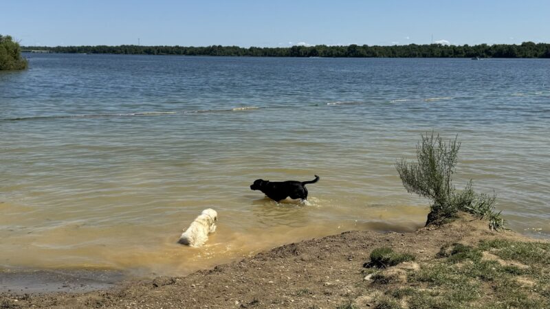 Friends of Alum Creek Dog Park - Lewis Center, OH