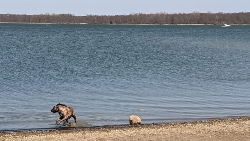 Friends of Alum Creek Dog Park - Lewis Center, OH
