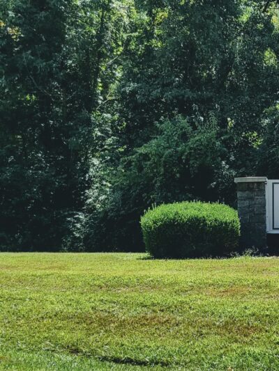 Friends of Alum Creek Dog Park - Lewis Center, OH