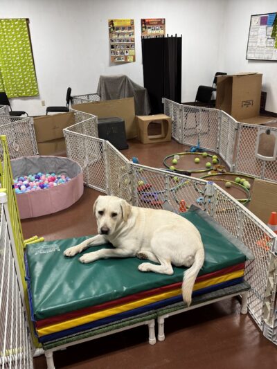 Brookpark Pet Supply - Lewisburg, PA