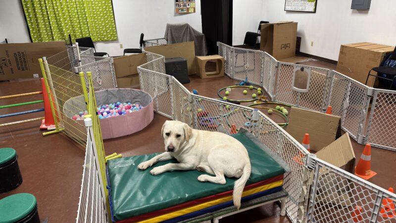 Brookpark Pet Supply - Lewisburg, PA