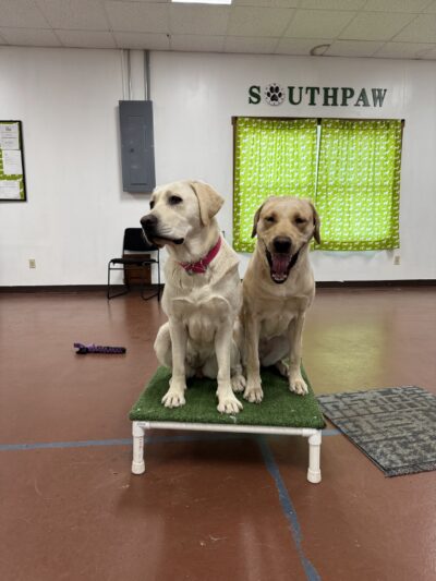 Brookpark Pet Supply - Lewisburg, PA
