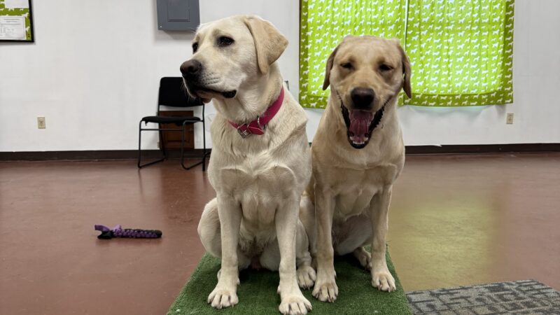 Brookpark Pet Supply - Lewisburg, PA