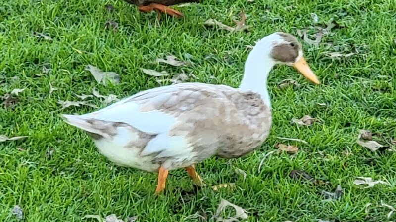Lewisburg Area Recreation Park - Lewisburg, PA