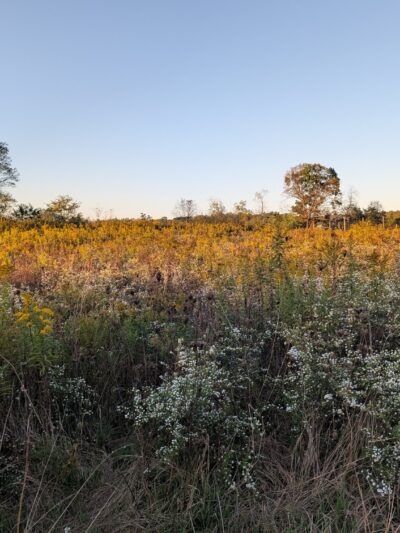 Turtle Creek Park - Lewisburg, PA