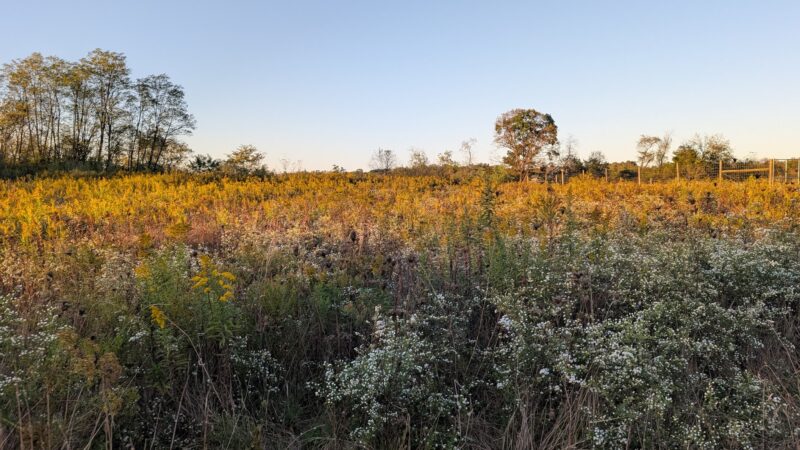 Turtle Creek Park - Lewisburg, PA