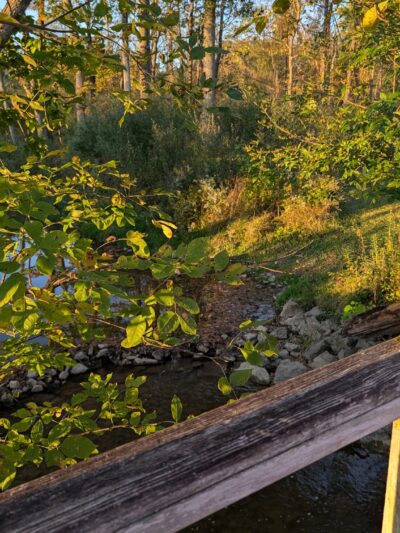 Turtle Creek Park - Lewisburg, PA