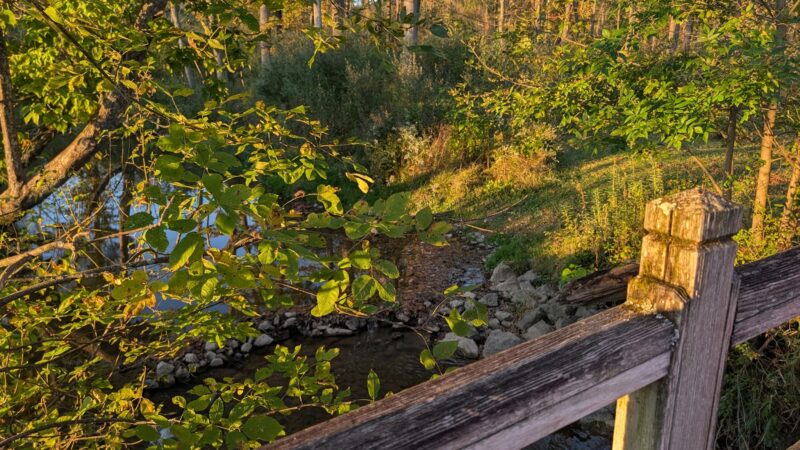 Turtle Creek Park - Lewisburg, PA