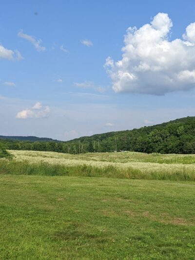 Turtle Creek Park - Lewisburg, PA