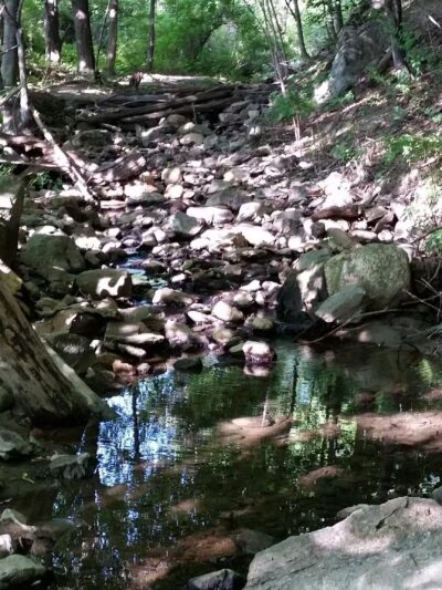 Mark W. Paradis Park - Lewiston, ME