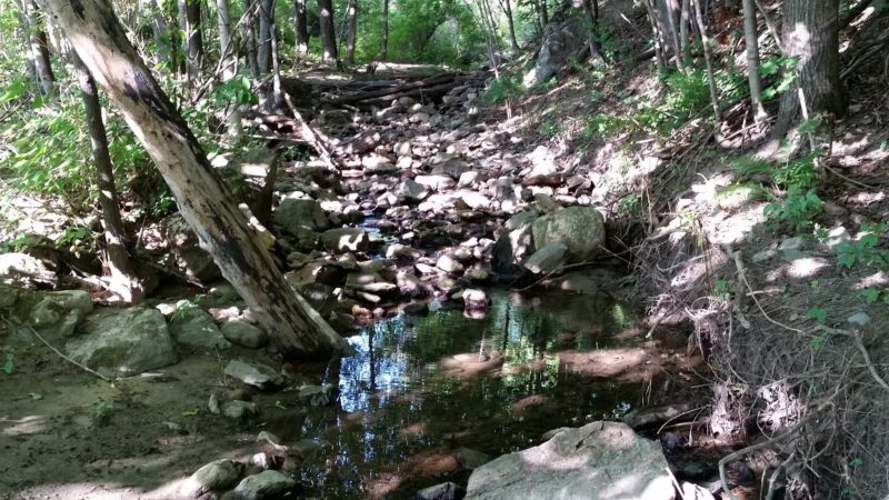 Mark W. Paradis Park - Lewiston, ME
