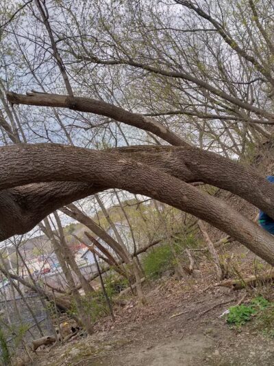 Mark W. Paradis Park - Lewiston, ME