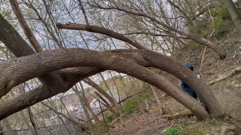 Mark W. Paradis Park - Lewiston, ME