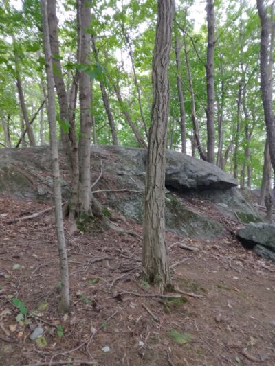 Sunnyside Park - Lewiston, ME