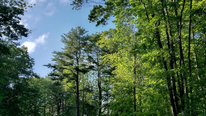 Sunnyside Park - Lewiston, ME