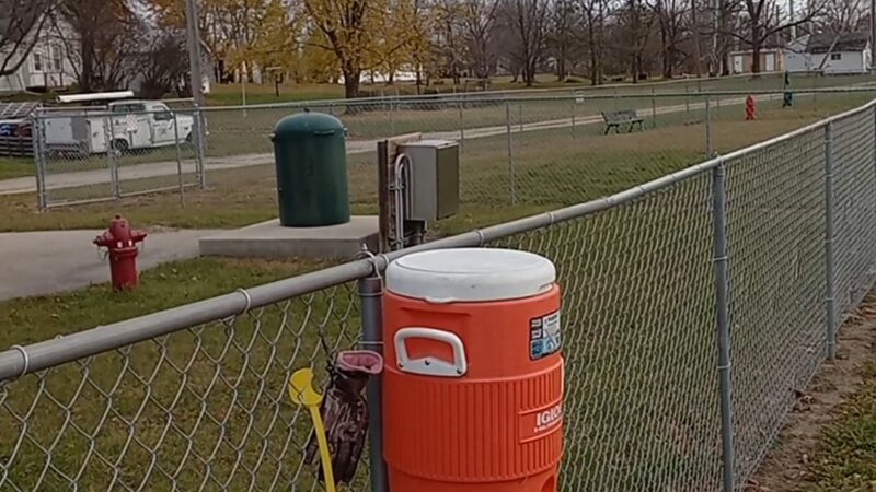 Lewiston Dog Park - Lewiston, MN