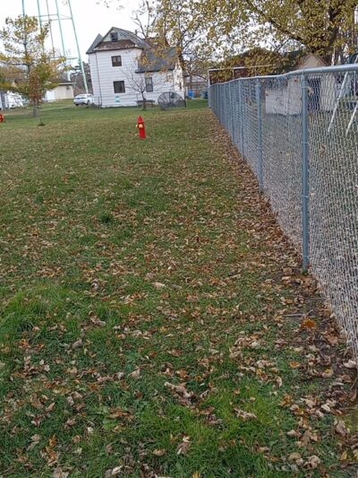 Lewiston Dog Park - Lewiston, MN