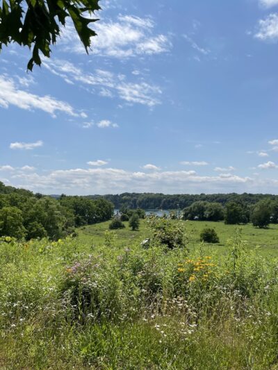 Stella Niagara Preserve - Lewiston, NY