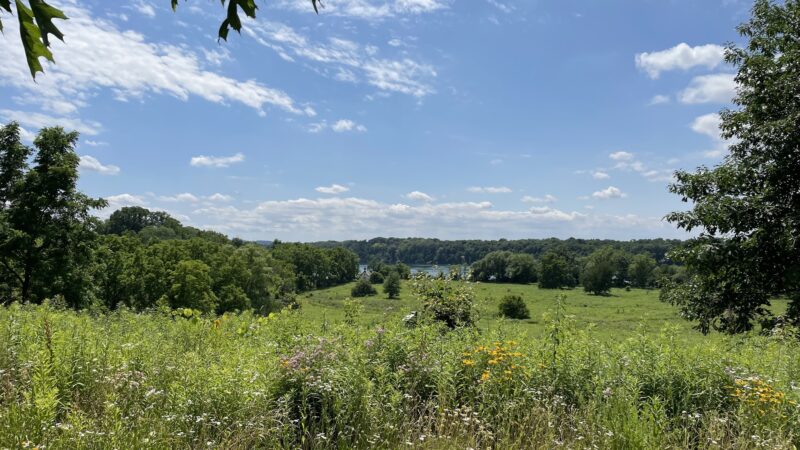 Stella Niagara Preserve - Lewiston, NY