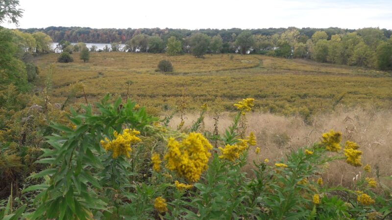 Stella Niagara Preserve - Lewiston, NY