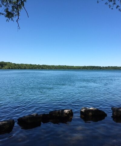 Stella Niagara Preserve - Lewiston, NY