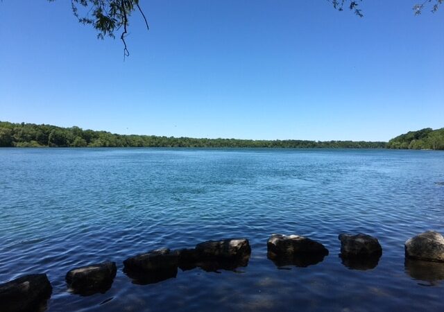 Stella Niagara Preserve - Lewiston, NY