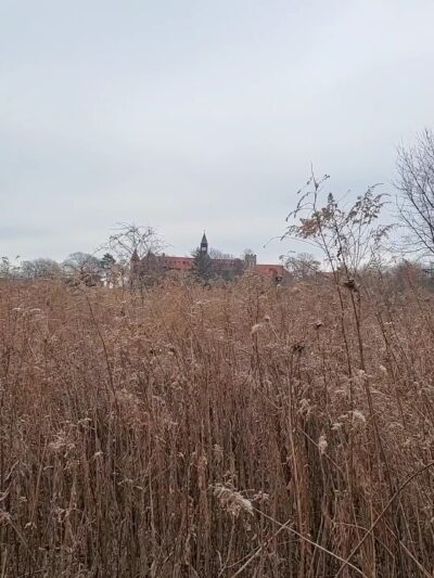 Stella Niagara Preserve - Lewiston, NY