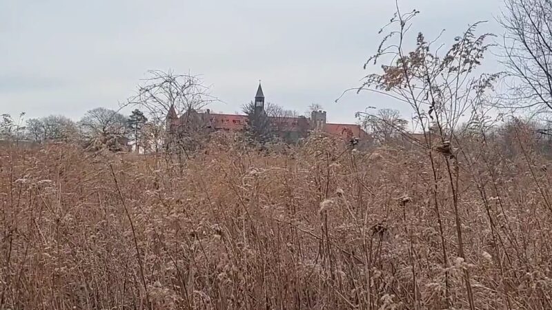 Stella Niagara Preserve - Lewiston, NY