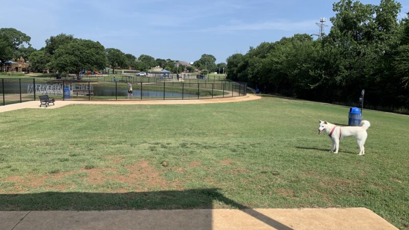 Briarhill dog park - Lewisville, TX