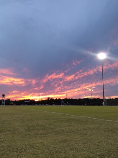 Dog Park - Lewisville, TX