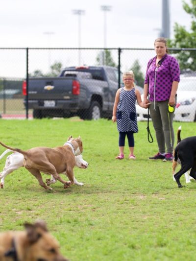 Dog Park - Lewisville, TX