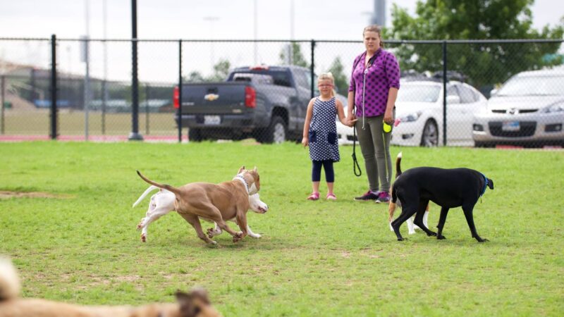 Dog Park - Lewisville, TX