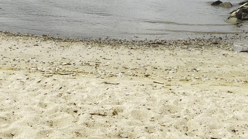 Elm's Beach Park - Lexington Park, MD