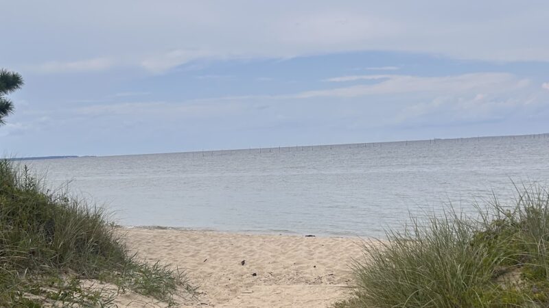 Elm's Beach Park - Lexington Park, MD