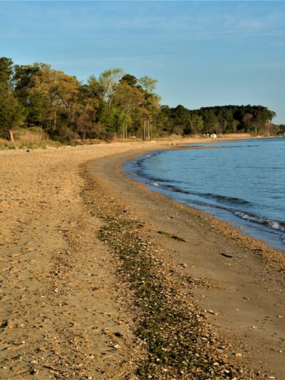 Elm's Beach Park - Lexington Park, MD