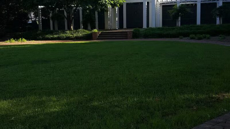 Hopkins Green - Lexington, VA