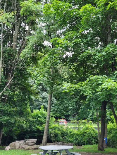 Creekside Park - Liberty, NY