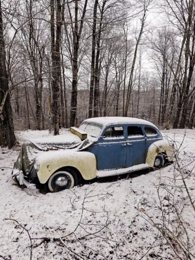 Liberty Pet Ranch - Liberty, NY
