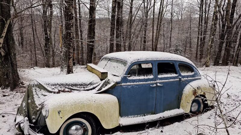 Liberty Pet Ranch - Liberty, NY