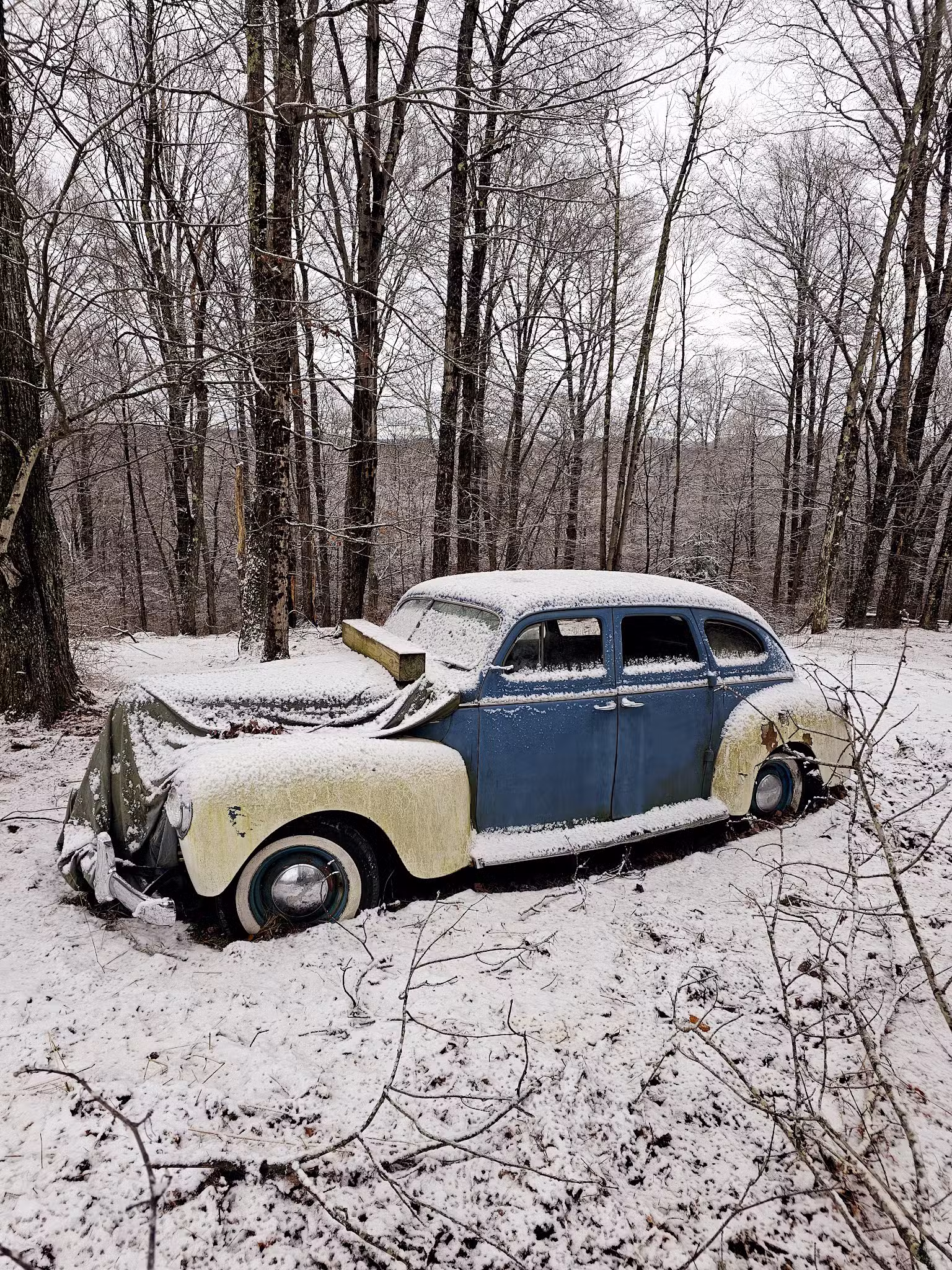 Liberty Pet Ranch - Liberty, NY