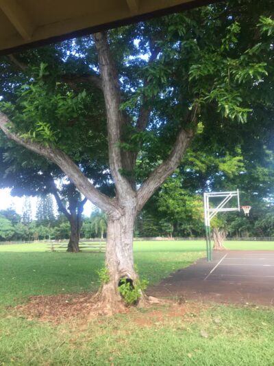 Puhi Park - Lihue, HI