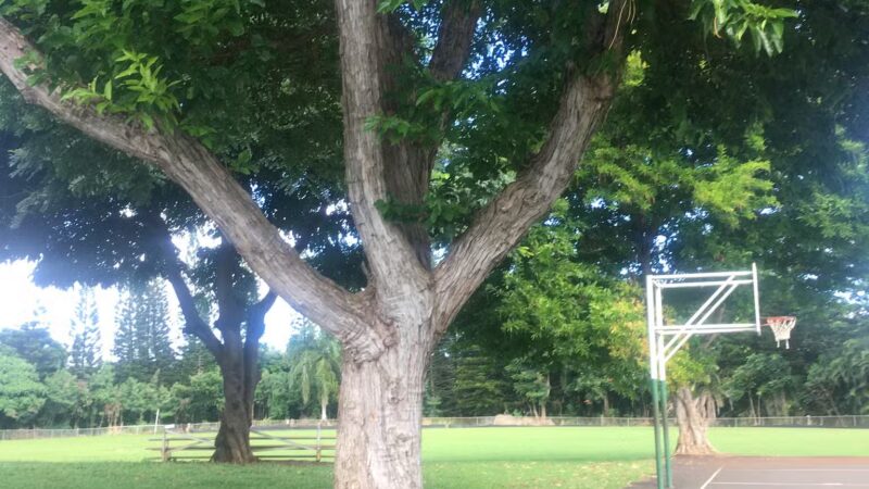 Puhi Park - Lihue, HI