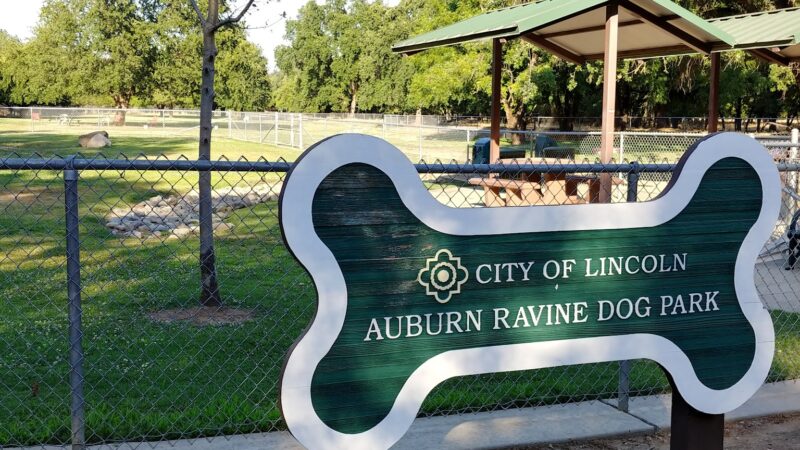 Auburn Ravine Dog Park - Lincoln, CA