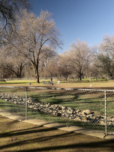 Auburn Ravine Dog Park - Lincoln, CA