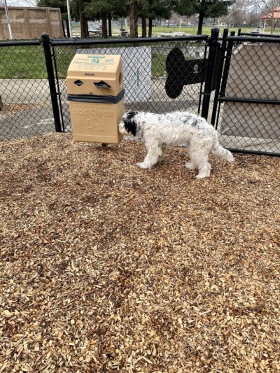 Lincoln Bark Park - Lincoln, CA